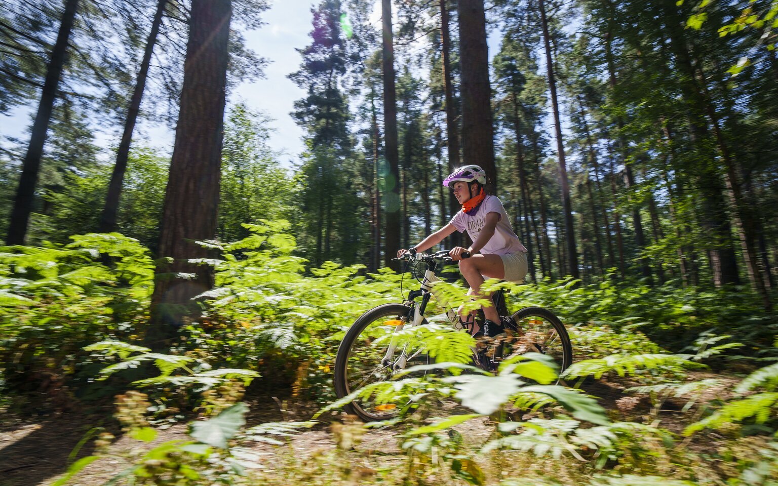 cycling through the nottinghamshire woodland