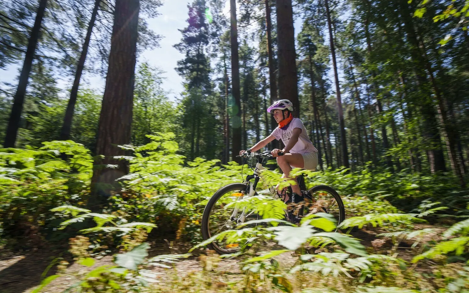 cycling through the nottinghamshire woodland